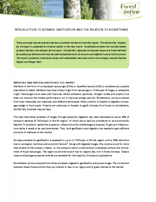 3_14_IS_2014-08-14_Intro_biomass_gasification_biomethane(1)