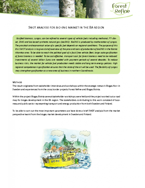 3_15_IS_2014_08-14_Swot analysis for bio-sng market in the BA region(1)