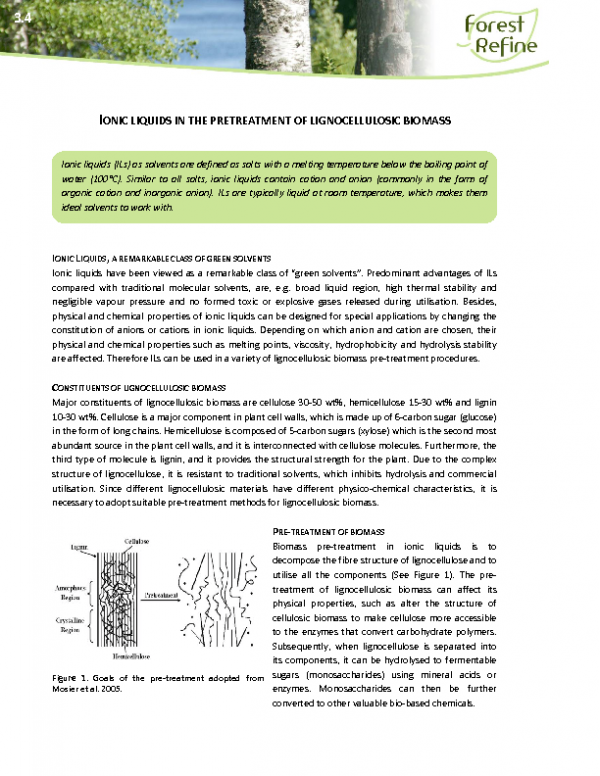 3_4_IS_2013-11-19_Ionic_liquids_Holm_Lassi_Dong