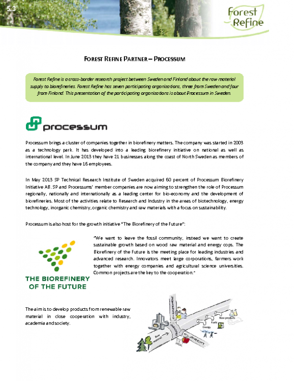5_3_IS_2013-06-24_Partners_Processum