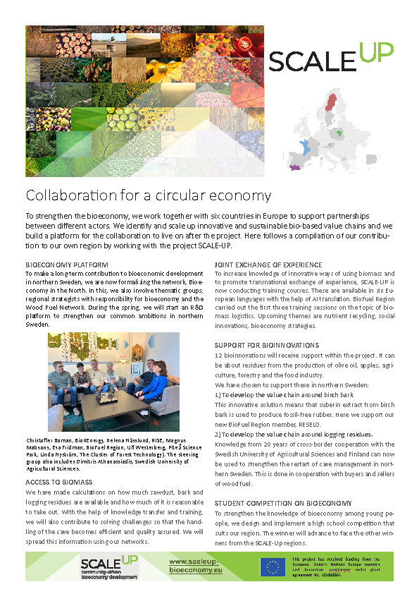 Newsletter